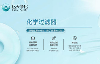 化學(xué)過濾器的吸附原理是什么？